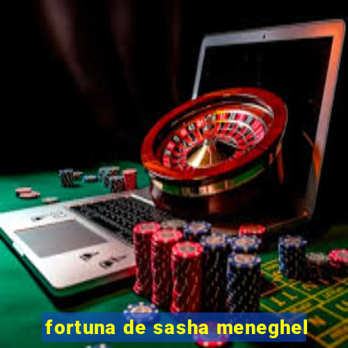 fortuna de sasha meneghel